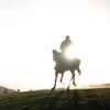 韩所友🐎