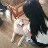 无畏秒租站（无畏契约）