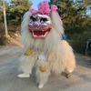 陆良县网红小白狮演艺