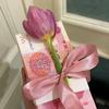 芬芬（小号）