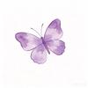 福赴登光🦋