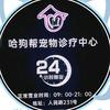 东阳哈狗帮宠物诊疗中心