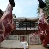A罗氏本土黄牛肉批零