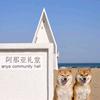 阿那亚民宿主理人@婷婷（招主播）
