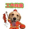 洁双老卢