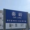 国家一级退堂鼓选手（关必回）