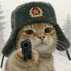 邱小五猫meme