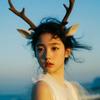招财鹿🦌