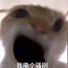 小透明