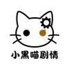 小黑喵剧情