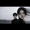 小陈追剧