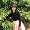 绿豆糕