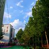 🌈原来是杨老师🌱