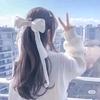 宝哥