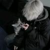 故友旧事.