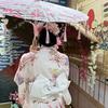 小猫探店🌸🌸