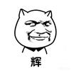 辉.(的逆战未来)