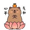 兔叽乖乖