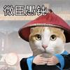 赛博人生