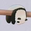 一只小Panda