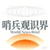 哨兵观识界WorldNewsBrief