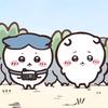 柚子灵宝