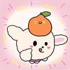 爱吃🍊的土松（鸿蒙6.0版）