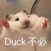 鼠鼠商行测评