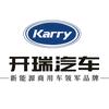 开瑞海豚｜开瑞江豚