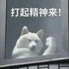 糕手墨墨