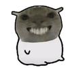 入入（草履虫大王）