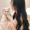 莹莹好看