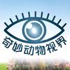 奇妙动物视界