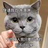 没毅力的家伙◔̯◔