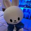 布丁小兔🐰