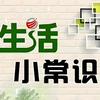 文文小常识