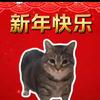 小米粥