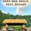林区小院  静鑫