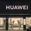 HUAWEI 黄园路一店