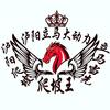 泸阳立马大动力电动车