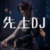 先上DJ（优盘在橱窗）
