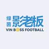 绿茵影老板
