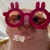 小爱同学ゝ