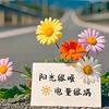 百花园