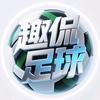 趣侃足球