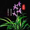 瞭望之窗（梅兰竹菊）