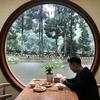 在野东东