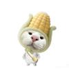 玉米粒🌽