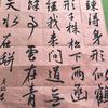 小丁的小世界