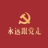 这回真和🐢🐴在一起了